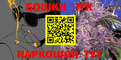 дживик Можга