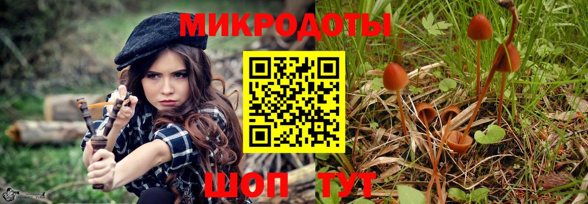 Углич  Галлюциногенные грибы ЛСД  Вход с VPN 