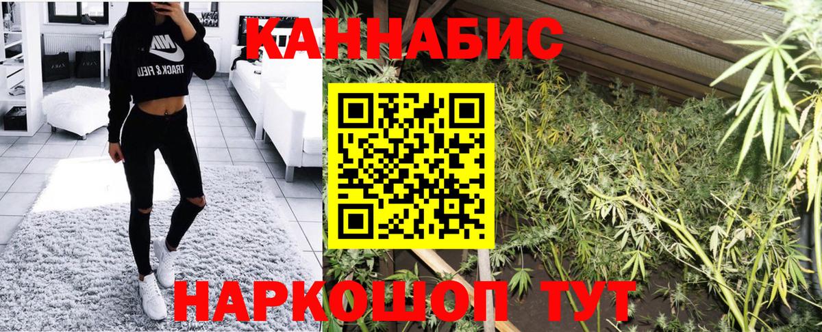 Углич  Каннабис план  Бошки Шишки конопля  Бошки марихуана индика  Вход с VPN 